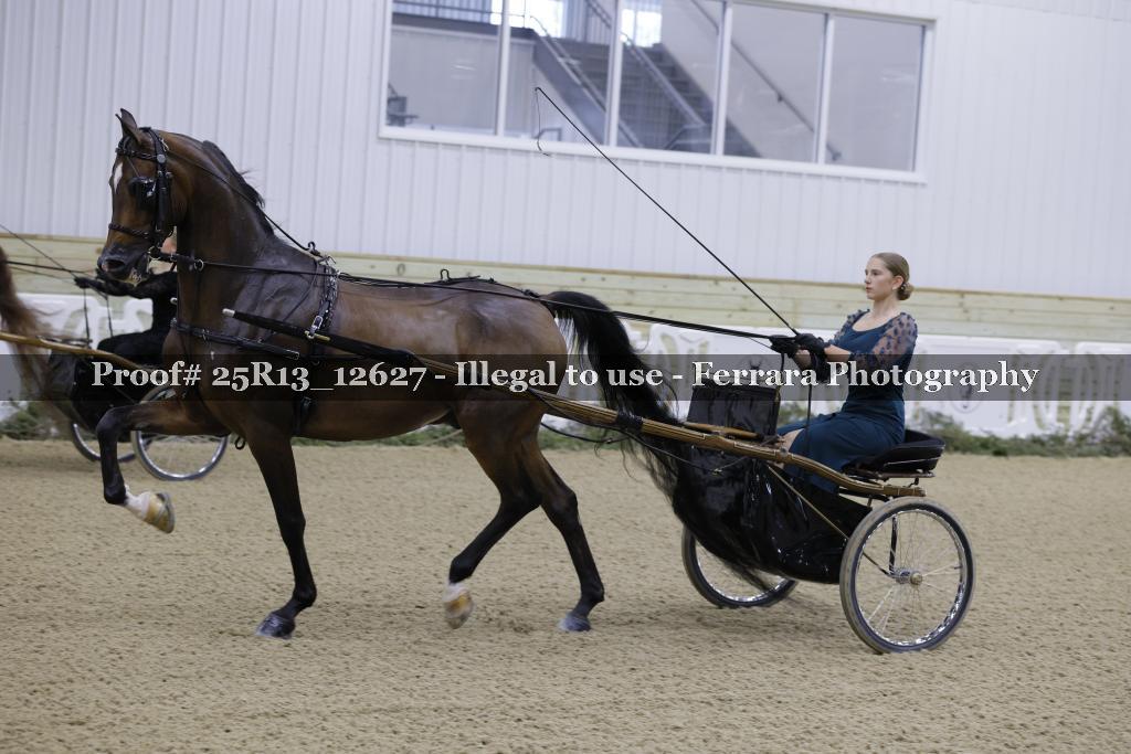 Proof 25R13_12627