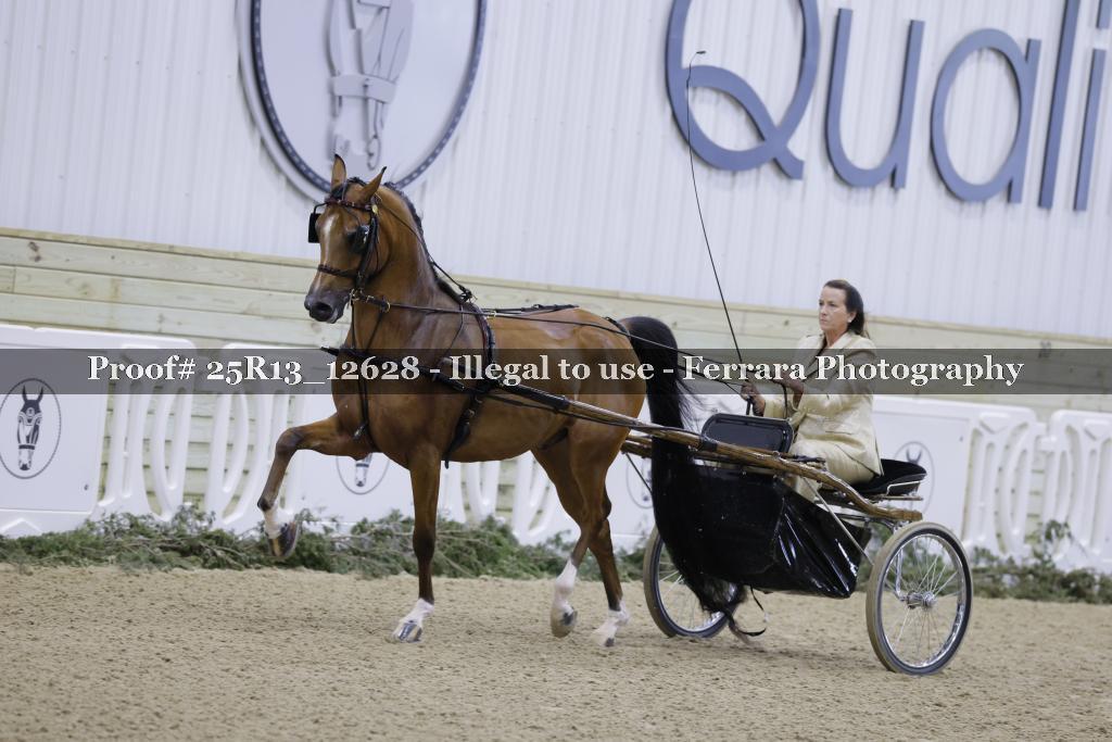 Proof 25R13_12628