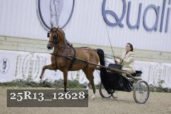 25R13_12628 proof