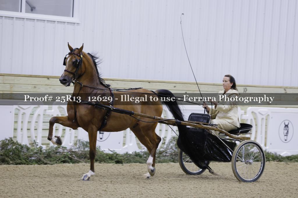 Proof 25R13_12629