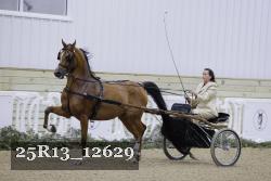 25R13_12629 proof
