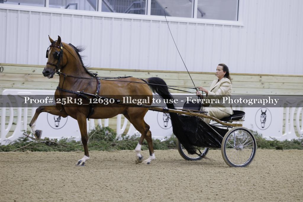 Proof 25R13_12630