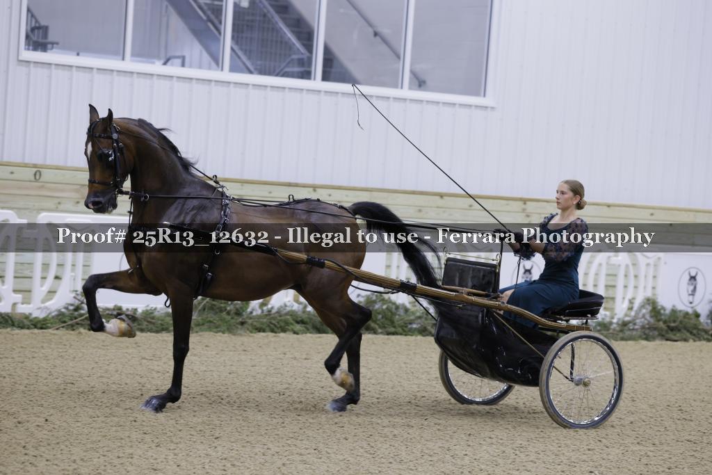 Proof 25R13_12632