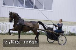 25R13_12632 proof