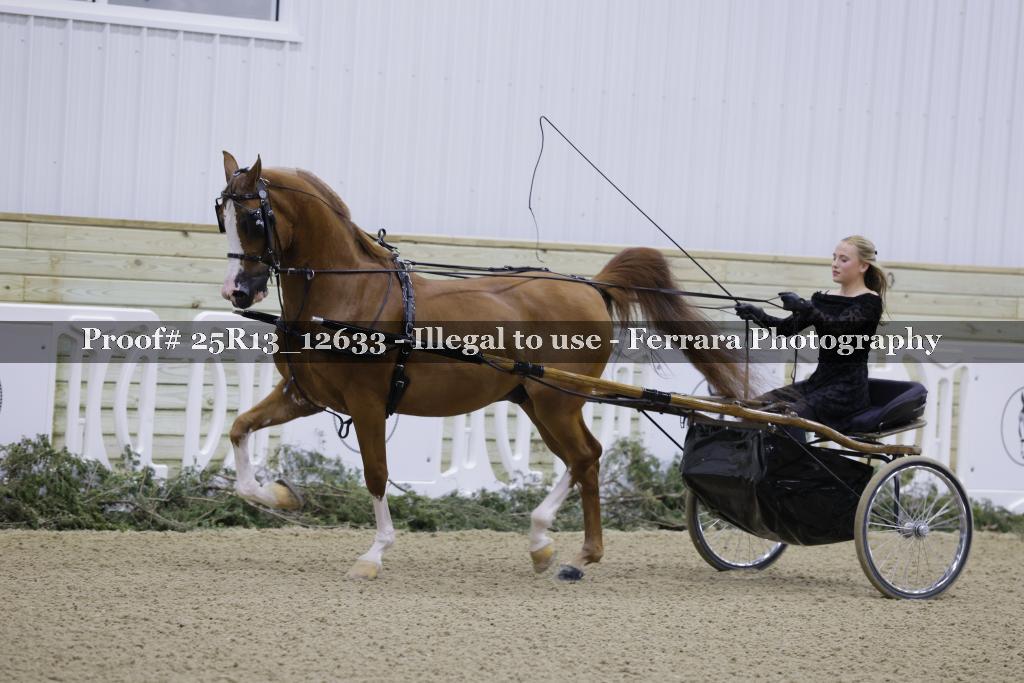 Proof 25R13_12633
