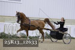 25R13_12633 proof