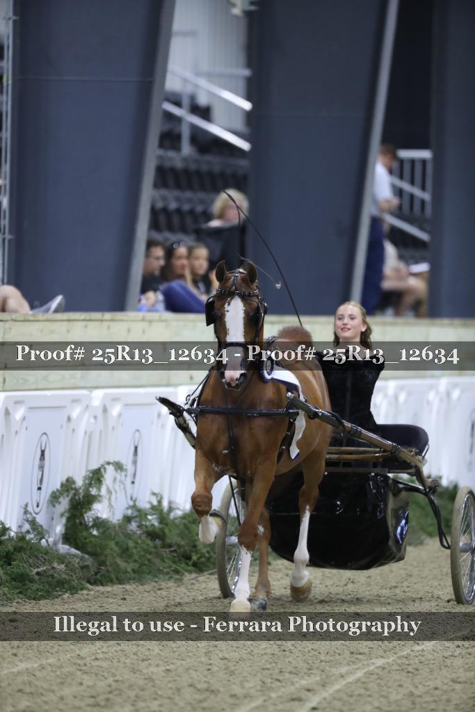 Proof 25R13_12634