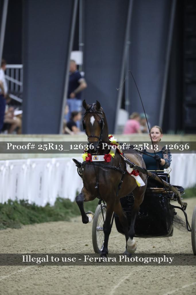 Proof 25R13_12636
