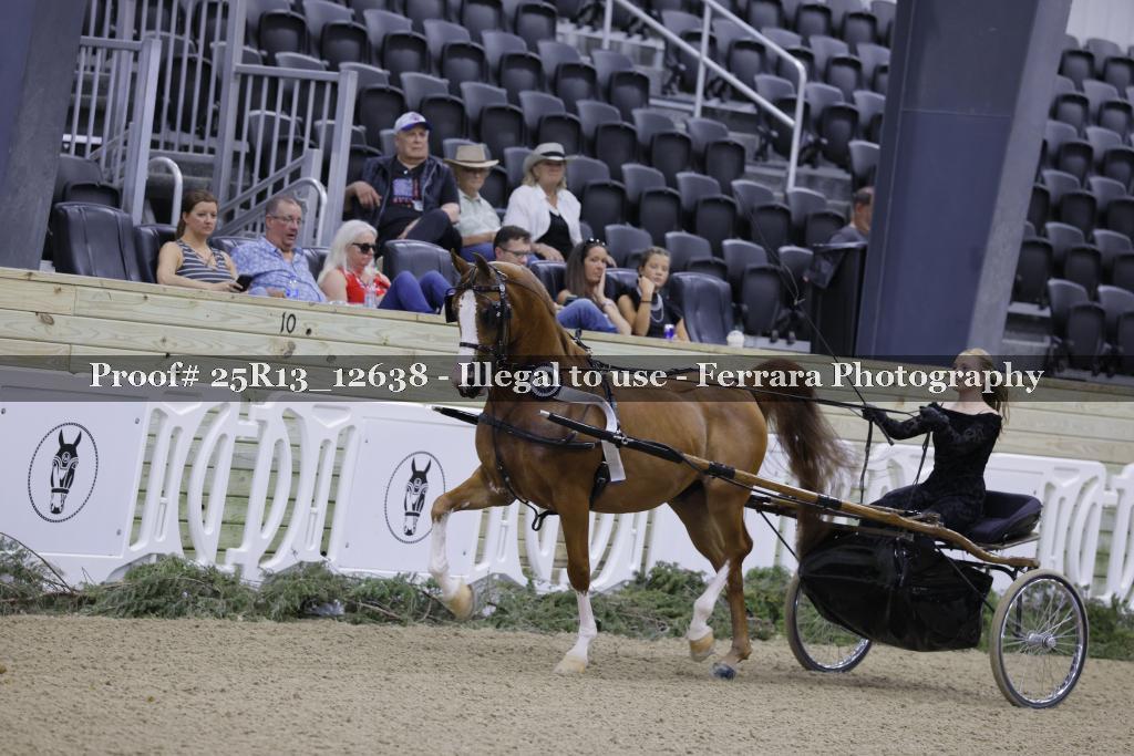 Proof 25R13_12638