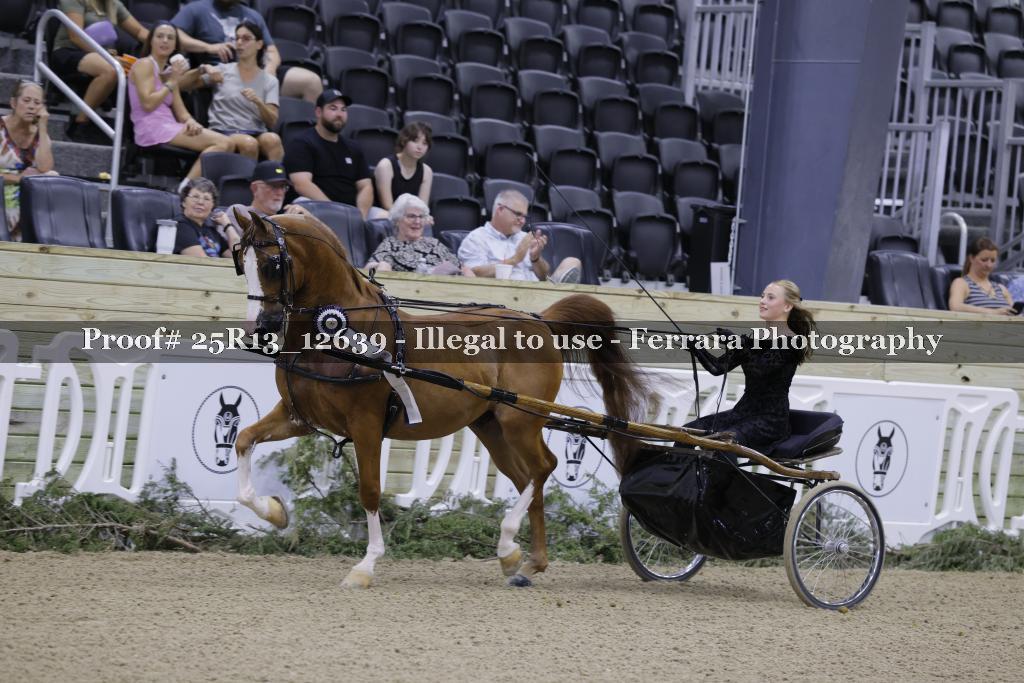 Proof 25R13_12639
