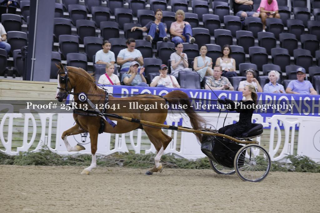 Proof 25R13_12641