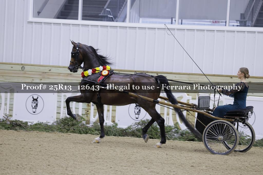 Proof 25R13_12643
