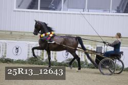 25R13_12643 proof