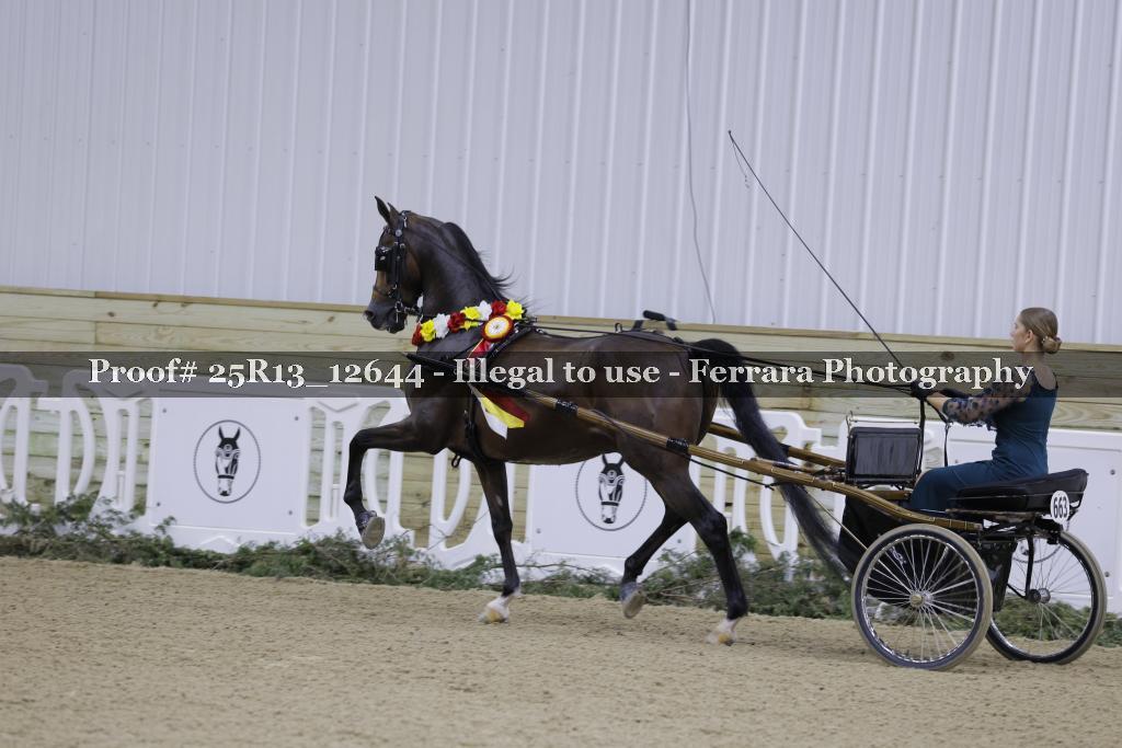 Proof 25R13_12644