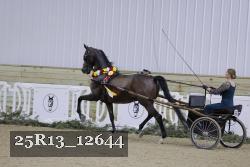 25R13_12644 proof