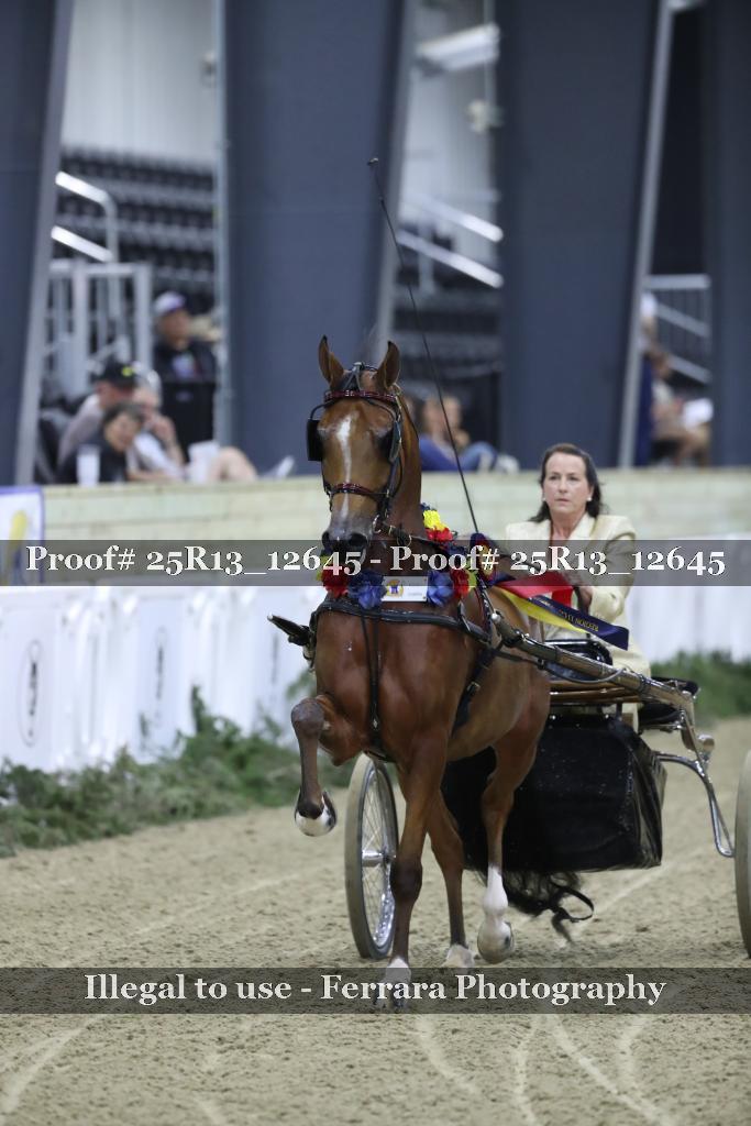Proof 25R13_12645