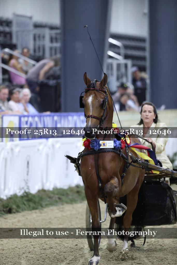 Proof 25R13_12646