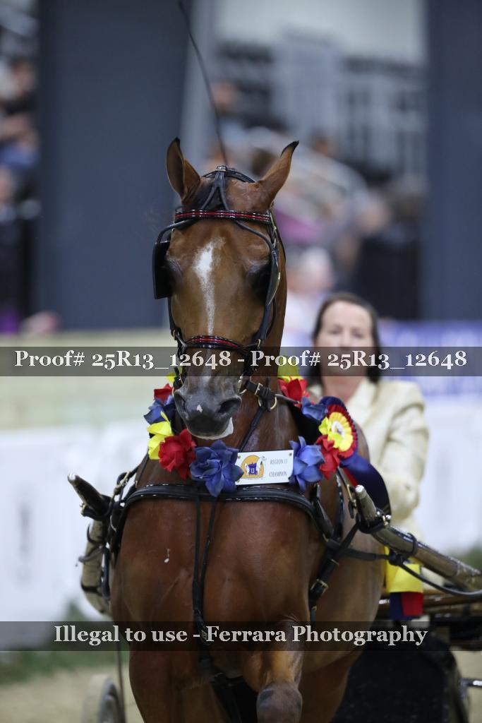 Proof 25R13_12648