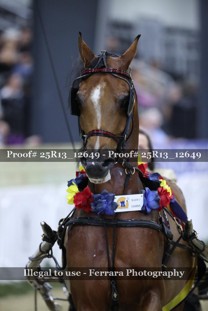 Proof 25R13_12649