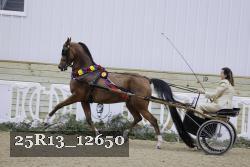 25R13_12650 proof