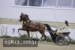 25R13_12651 proof