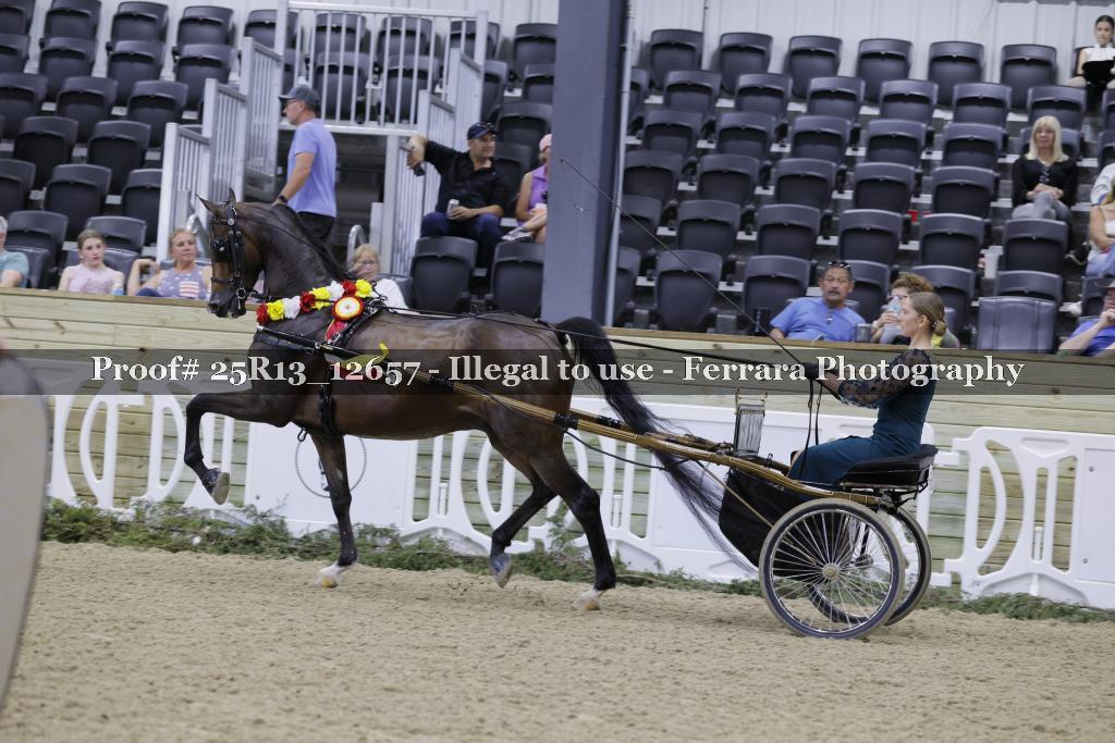 Proof 25R13_12657