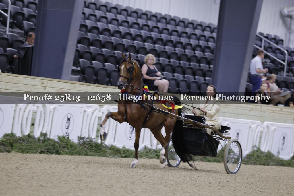 Proof 25R13_12658
