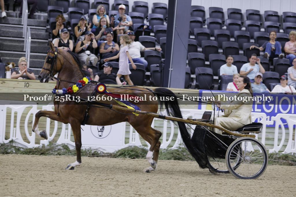 Proof 25R13_12660
