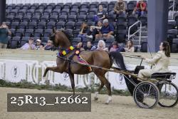 25R13_12662 proof