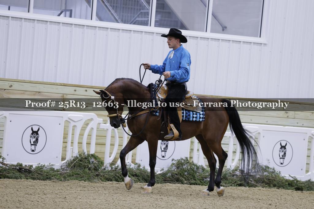 Proof 25R13_12663