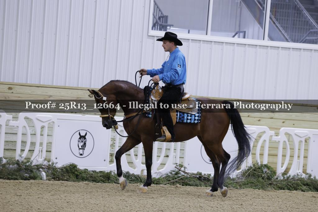 Proof 25R13_12664
