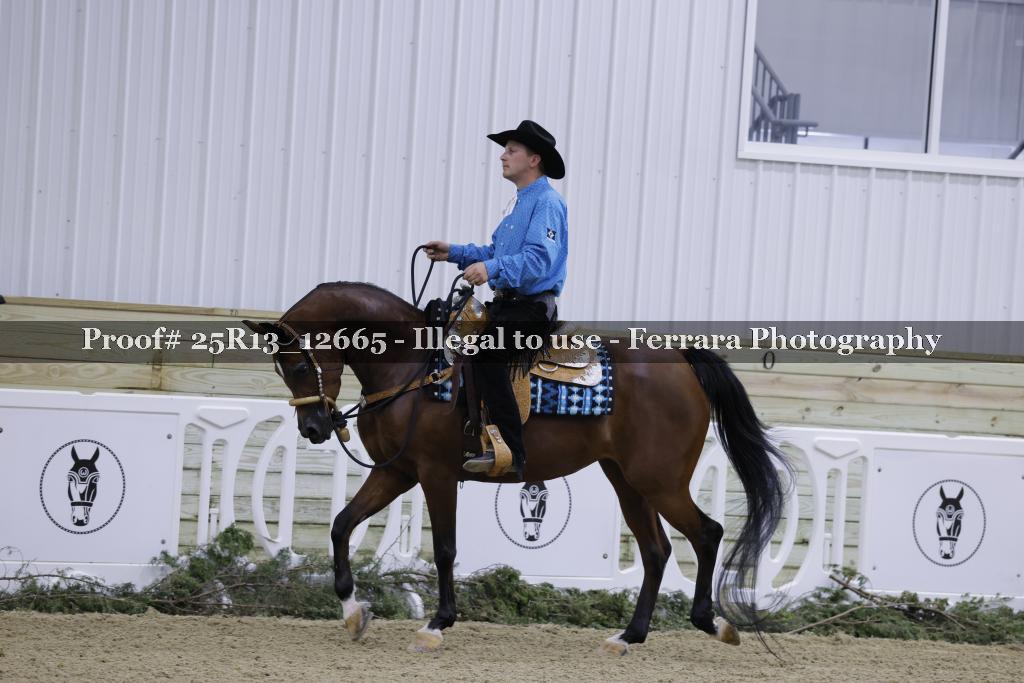 Proof 25R13_12665