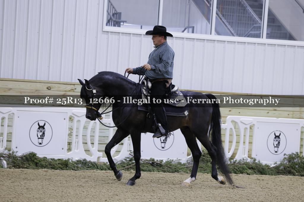 Proof 25R13_12666