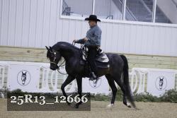 25R13_12666 proof