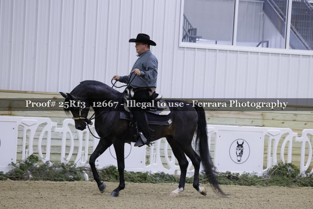 Proof 25R13_12667