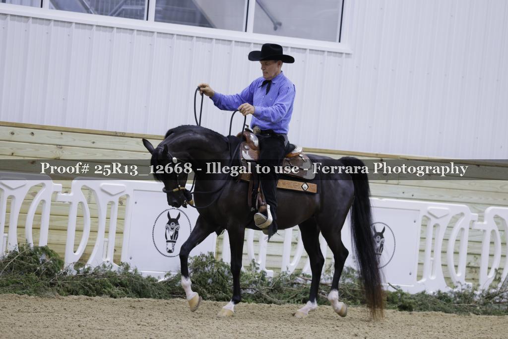 Proof 25R13_12668