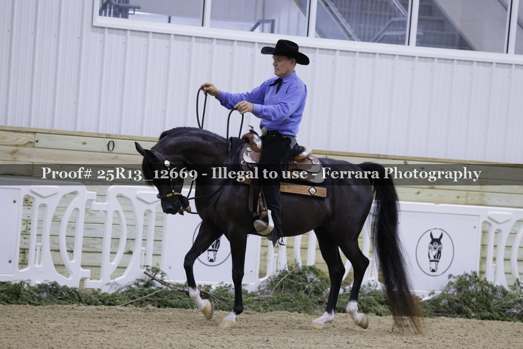 Proof 25R13_12669