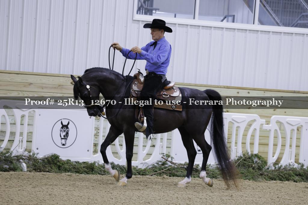 Proof 25R13_12670