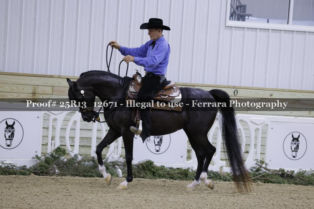 Proof 25R13_12671