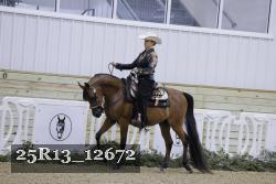 25R13_12672 proof