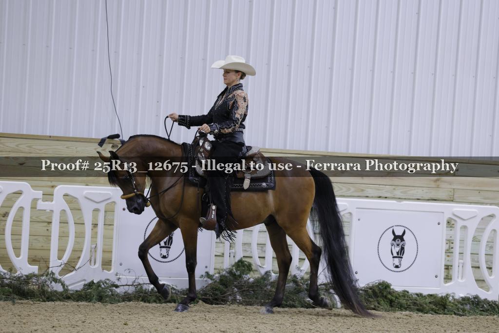 Proof 25R13_12675