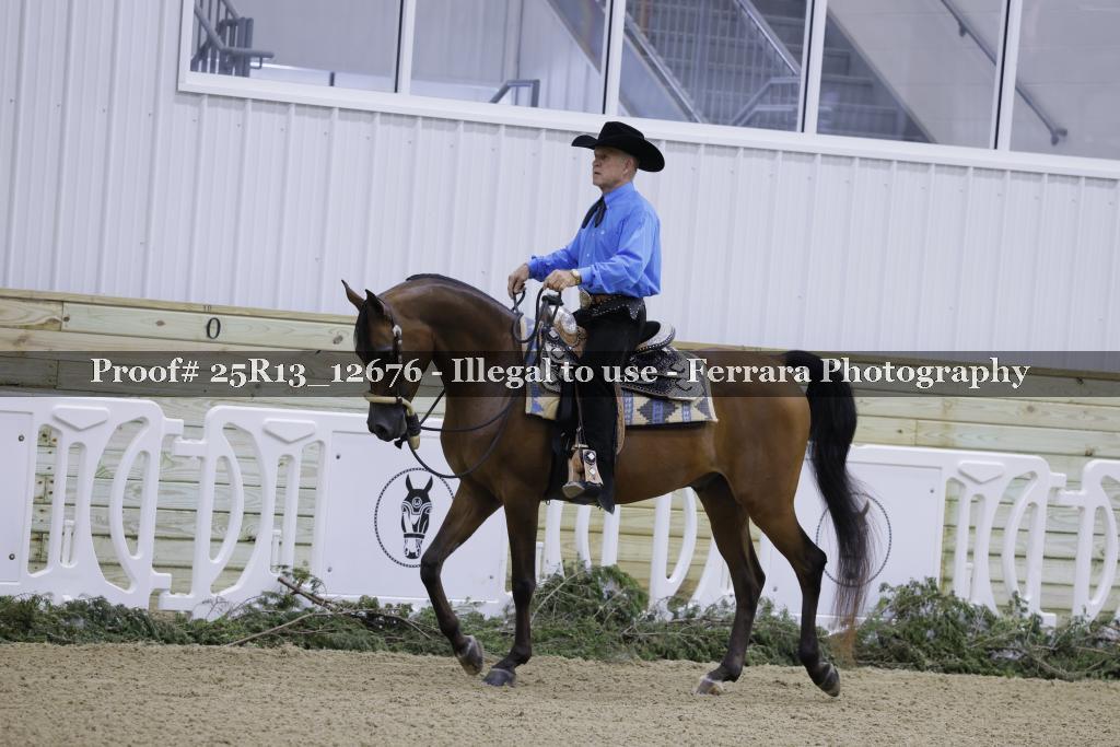 Proof 25R13_12676