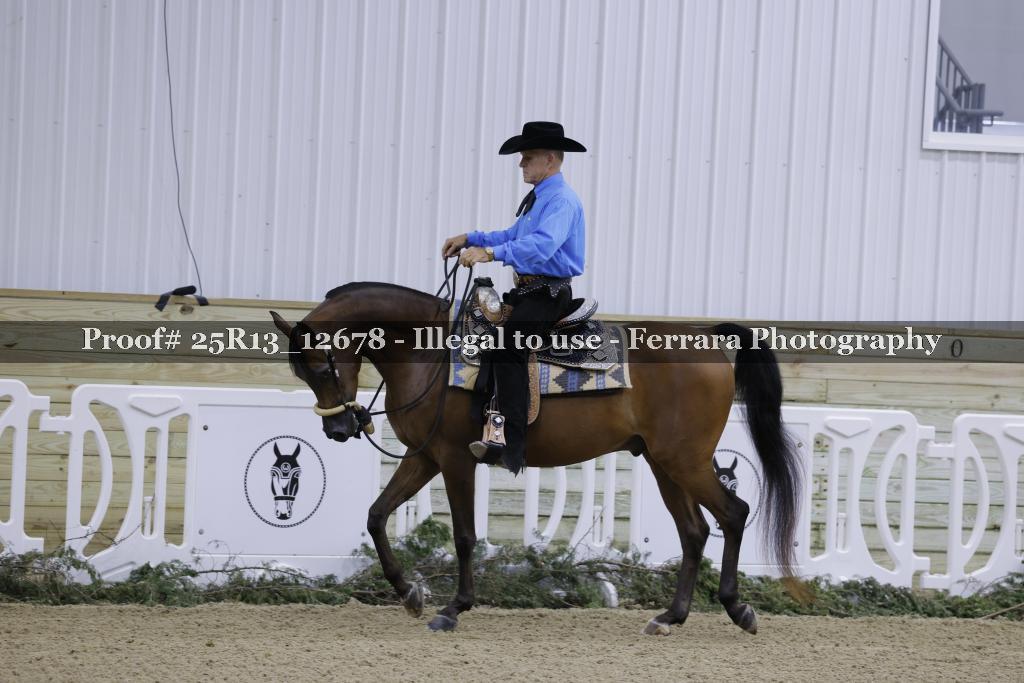 Proof 25R13_12678