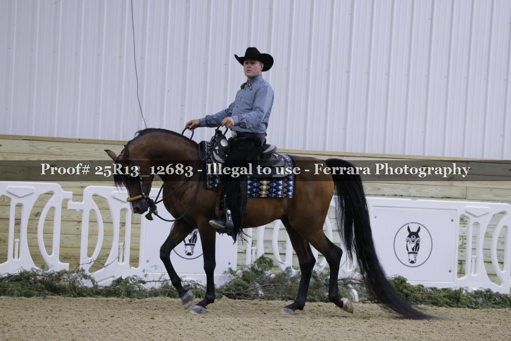 Proof 25R13_12683