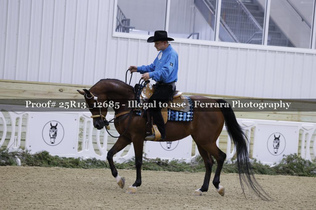 Proof 25R13_12685