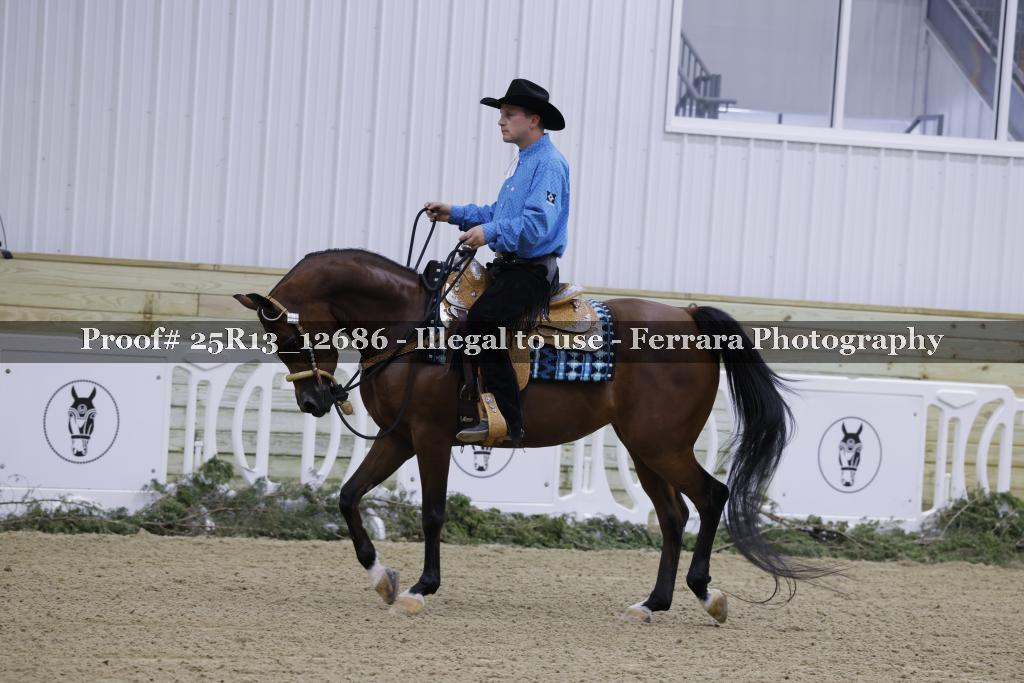 Proof 25R13_12686
