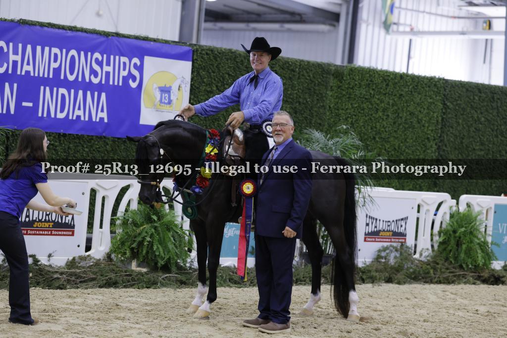 Proof 25R13_12695