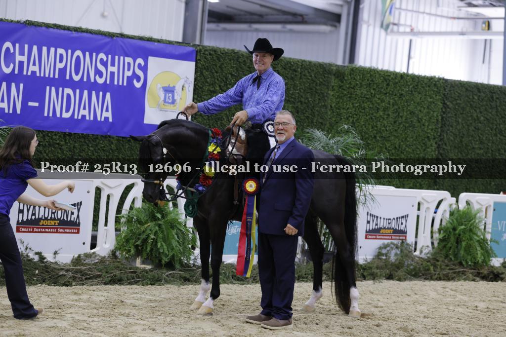Proof 25R13_12696
