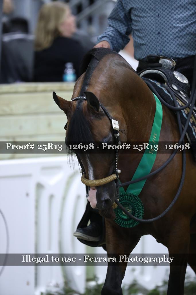 Proof 25R13_12698
