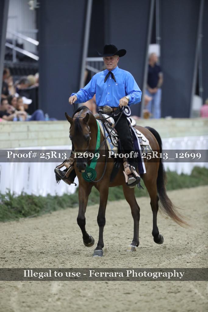 Proof 25R13_12699